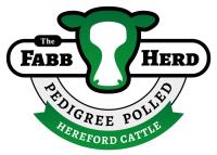 Fabb herd polled Herefords image 4